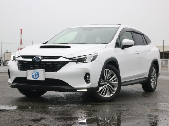 スバル レヴォーグ　レイバック １．８ リミテッド ＥＸ ４ＷＤ R6年 (近畿) 99