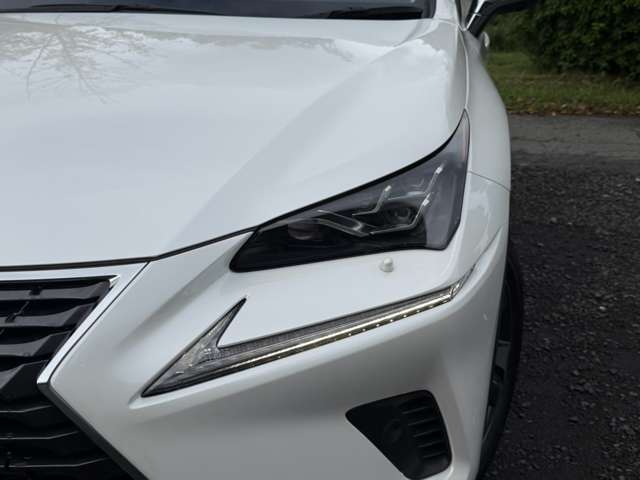 レクサス ＮＸ３００ｈ バージョンＬ R2年 (近畿) 99