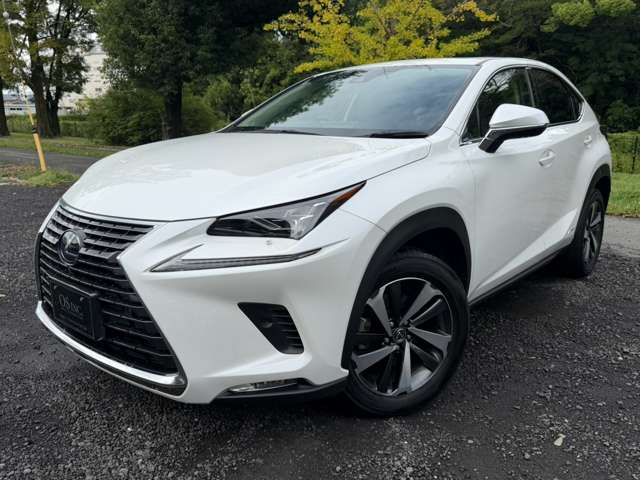 レクサス ＮＸ３００ｈ バージョンＬ R2年 (近畿) 99