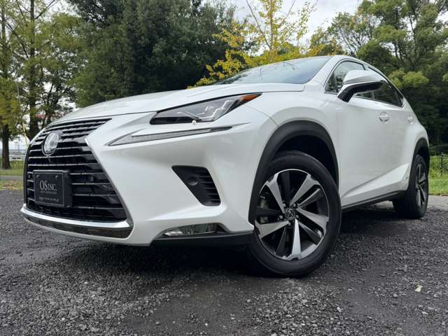 レクサス ＮＸ３００ｈ バージョンＬ R2年 (近畿) 99