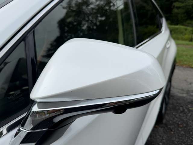レクサス ＮＸ３００ｈ バージョンＬ R2年 (近畿) 99