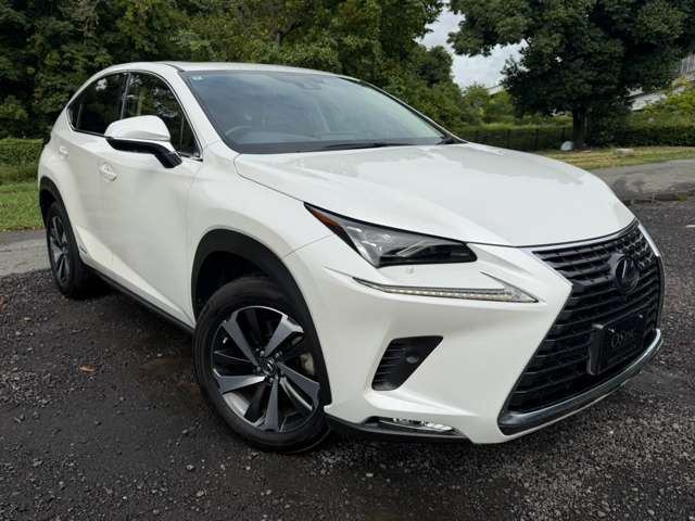 レクサス ＮＸ３００ｈ バージョンＬ R2年 (近畿) 99