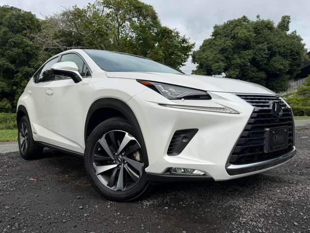 レクサス ＮＸ３００ｈ バージョンＬ R2年 (近畿) 99