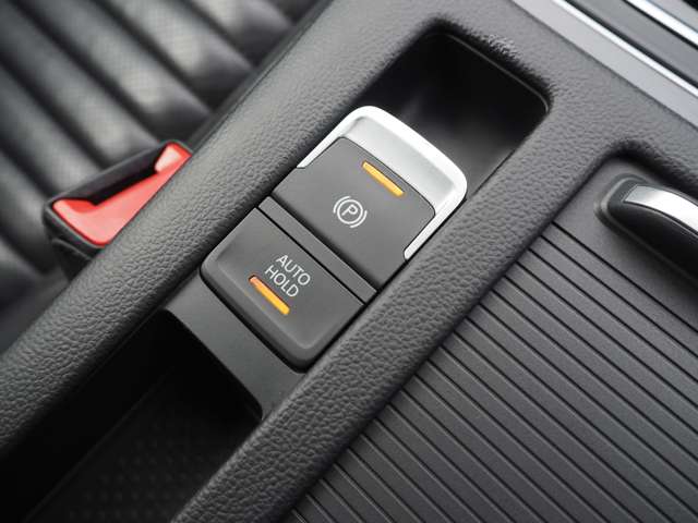 フォルクスワーゲン パサートヴァリアント ＴＳＩ　ハイライン H28年 (甲信越・北陸) 99