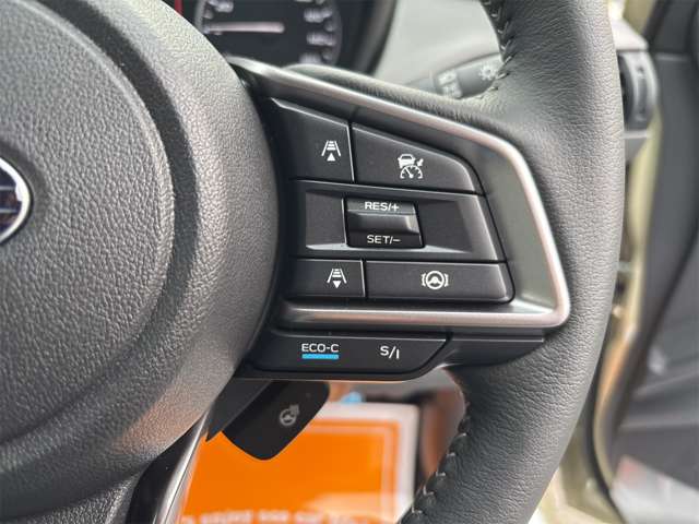 スバル クロストレック ２．０ リミテッド ４ＷＤ R7年 (近畿) 99