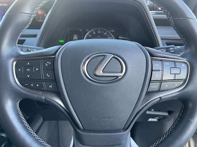 レクサス ＵＸ２５０ｈ バージョンＣ H30年 (近畿) 99