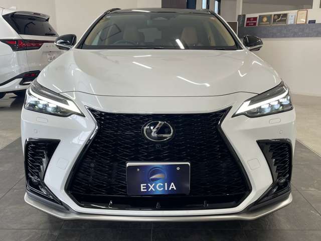 レクサス ＮＸ３５０ｈ Ｆスポーツ R7年 (関東) 99