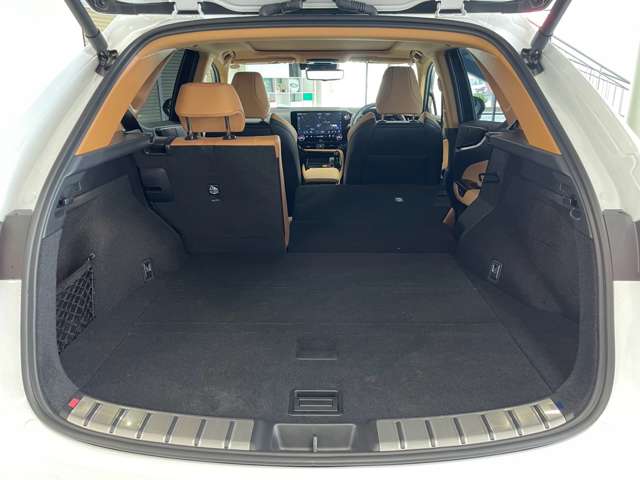 レクサス ＮＸ３５０ｈ Ｆスポーツ R7年 (関東) 99
