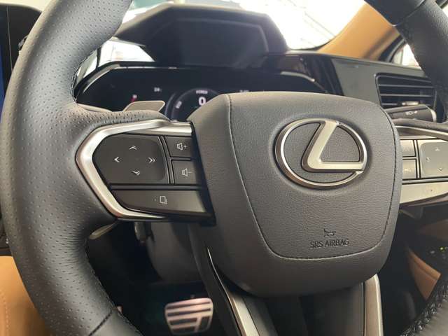 レクサス ＮＸ３５０ｈ Ｆスポーツ R7年 (関東) 99