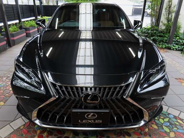 レクサス ＥＳ３００ｈ バージョンＬ R6年 (関東) 99