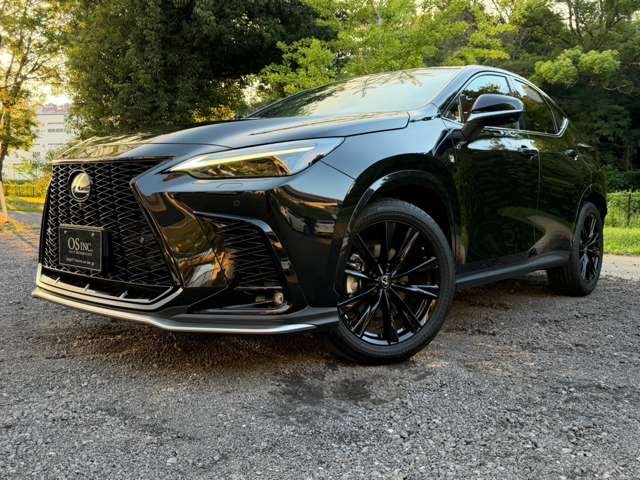 レクサス ＮＸ３５０ｈ Ｆスポーツ R5年 (近畿) 99