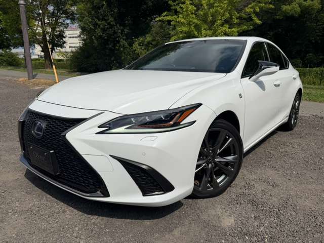 レクサス ＥＳ３００ｈ Ｆスポーツ R1年 (近畿) 99