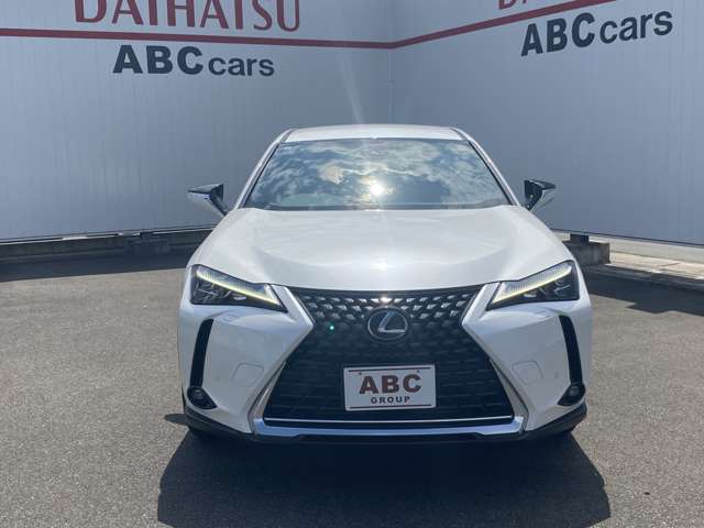 レクサス ＵＸ２５０ｈ バージョンＬ R5年 (中国) 99