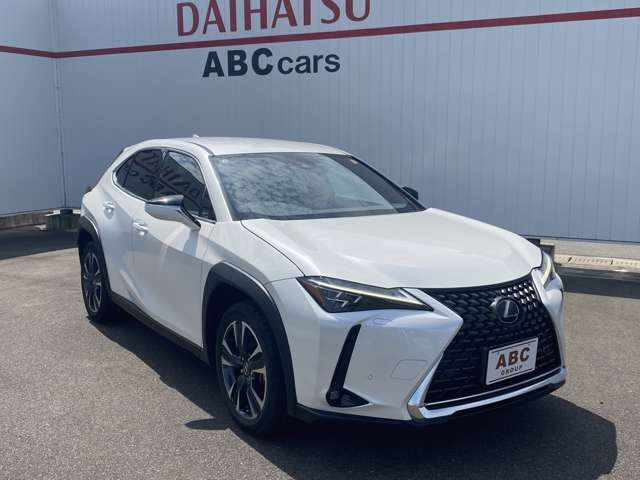 レクサス ＵＸ２５０ｈ バージョンＬ R5年 (中国) 99