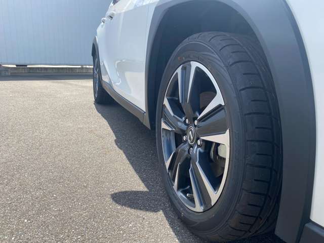 レクサス ＵＸ２５０ｈ バージョンＬ R5年 (中国) 99