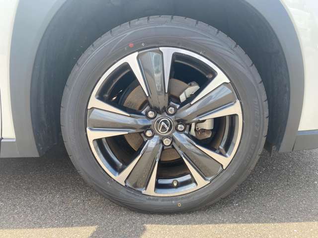 レクサス ＵＸ２５０ｈ バージョンＬ R5年 (中国) 99