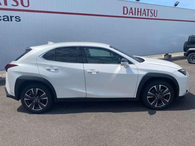 レクサス ＵＸ２５０ｈ バージョンＬ R5年 (中国) 99