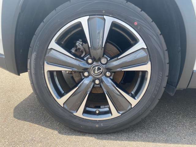 レクサス ＵＸ２５０ｈ バージョンＬ R5年 (中国) 99
