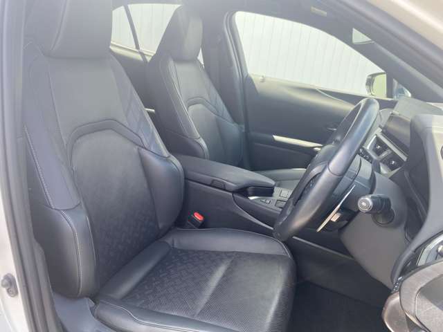 レクサス ＵＸ２５０ｈ バージョンＬ R5年 (中国) 99