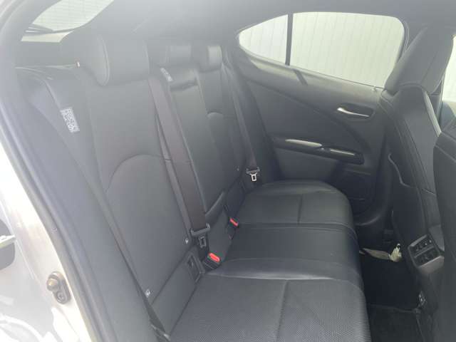 レクサス ＵＸ２５０ｈ バージョンＬ R5年 (中国) 99
