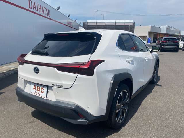レクサス ＵＸ２５０ｈ バージョンＬ R5年 (中国) 99