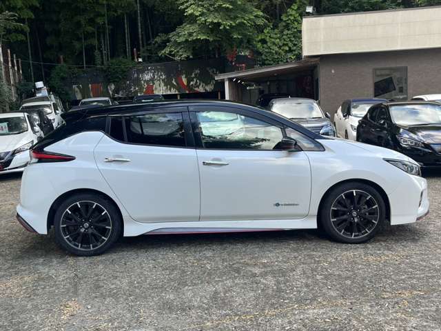 日産 リーフ ＮＩＳＭＯ R1年 (関東) 99