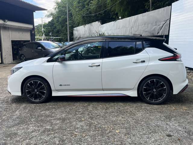 日産 リーフ ＮＩＳＭＯ R1年 (関東) 99