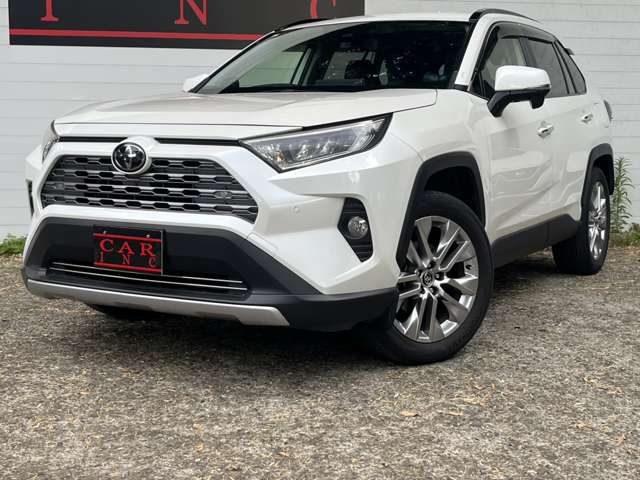 トヨタ ＲＡＶ４ ２．０ Ｇ Ｚパッケージ ４ＷＤ R1年 (関東) 99