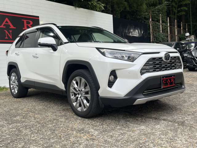 トヨタ ＲＡＶ４ ２．０ Ｇ Ｚパッケージ ４ＷＤ R1年 (関東) 99