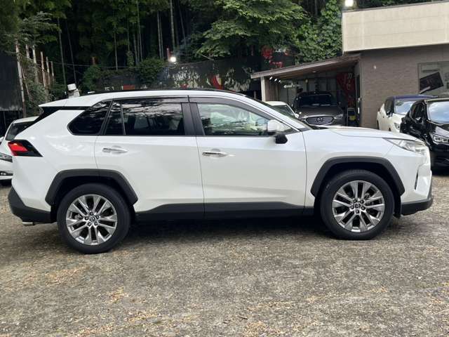 トヨタ ＲＡＶ４ ２．０ Ｇ Ｚパッケージ ４ＷＤ R1年 (関東) 99
