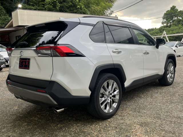 トヨタ ＲＡＶ４ ２．０ Ｇ Ｚパッケージ ４ＷＤ R1年 (関東) 99