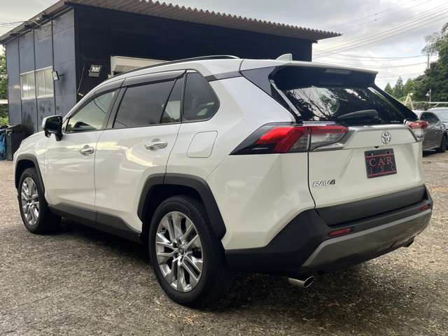 トヨタ ＲＡＶ４ ２．０ Ｇ Ｚパッケージ ４ＷＤ R1年 (関東) 99