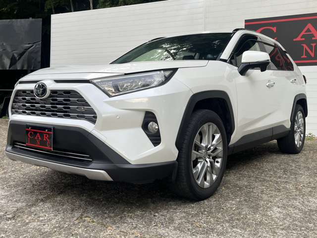 トヨタ ＲＡＶ４ ２．０ Ｇ Ｚパッケージ ４ＷＤ R1年 (関東) 99