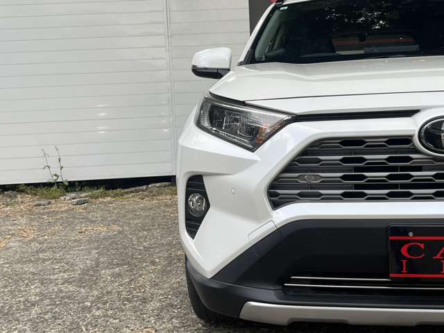 トヨタ ＲＡＶ４ ２．０ Ｇ Ｚパッケージ ４ＷＤ R1年 (関東) 99