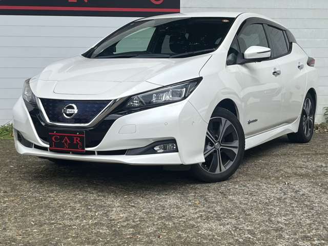 日産 リーフ Ｇ H30年 (関東) 99