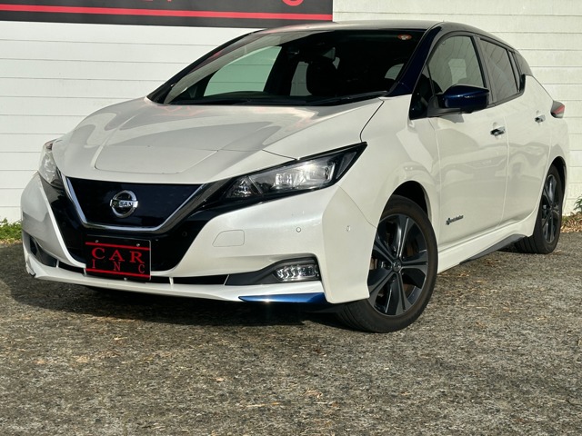 日産 リーフ Ｇ H30年 (関東) 99