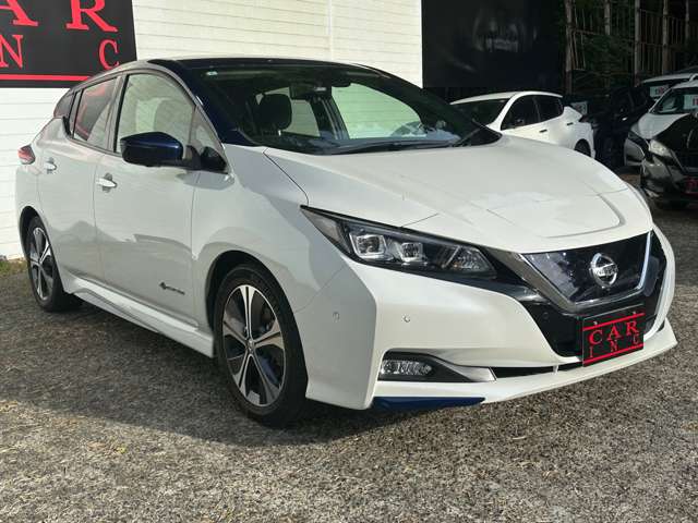 日産 リーフ Ｇ H30年 (関東) 99