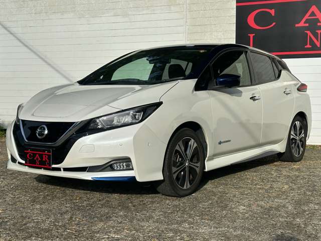 日産 リーフ Ｇ H30年 (関東) 99