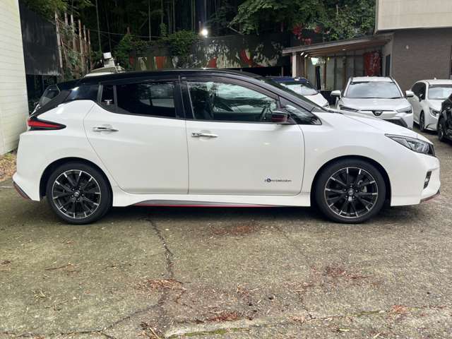 日産 リーフ ＮＩＳＭＯ R1年 (関東) 99