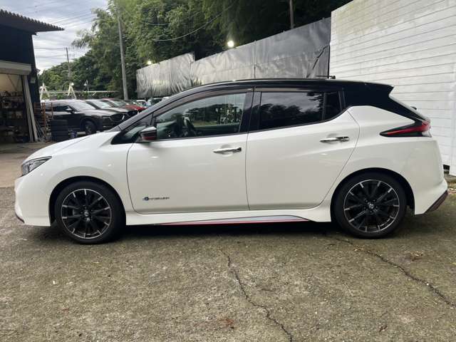 日産 リーフ ＮＩＳＭＯ R1年 (関東) 99