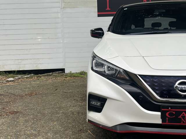 日産 リーフ ＮＩＳＭＯ R1年 (関東) 99