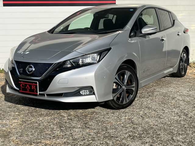 日産 リーフ Ｇ H30年 (関東) 99