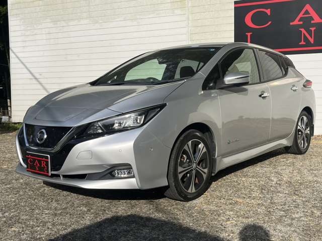 日産 リーフ Ｇ H30年 (関東) 99
