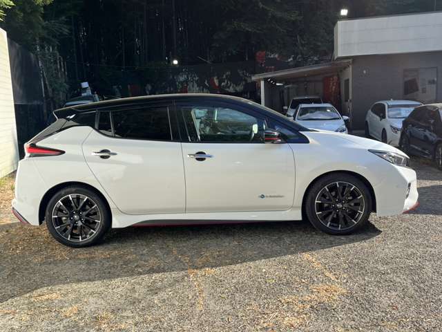 日産 リーフ ＮＩＳＭＯ R1年 (関東) 99