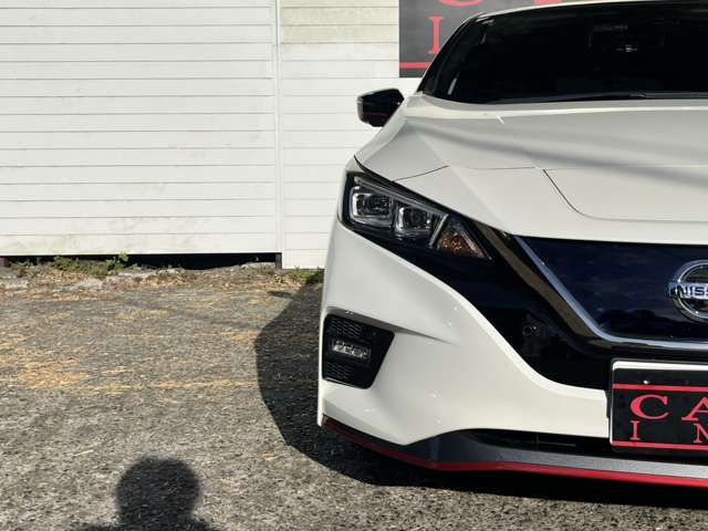 日産 リーフ ＮＩＳＭＯ R1年 (関東) 99