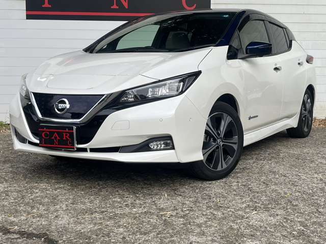 日産 リーフ Ｇ H30年 (関東) 99