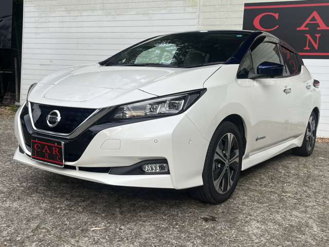 日産 リーフ Ｇ H30年 (関東) 99