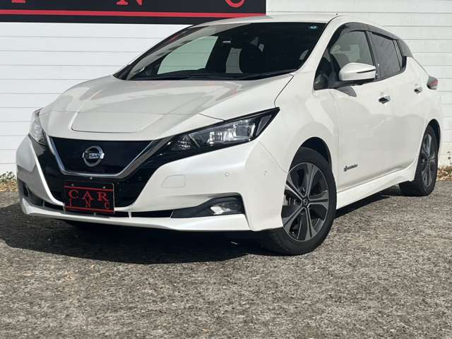 日産 リーフ Ｇ R2年 (関東) 99
