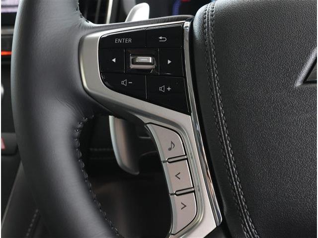 三菱 デリカ　Ｄ：５ ２．２ Ｐ ディーゼルターボ ４ＷＤ R8年 (東海) 99