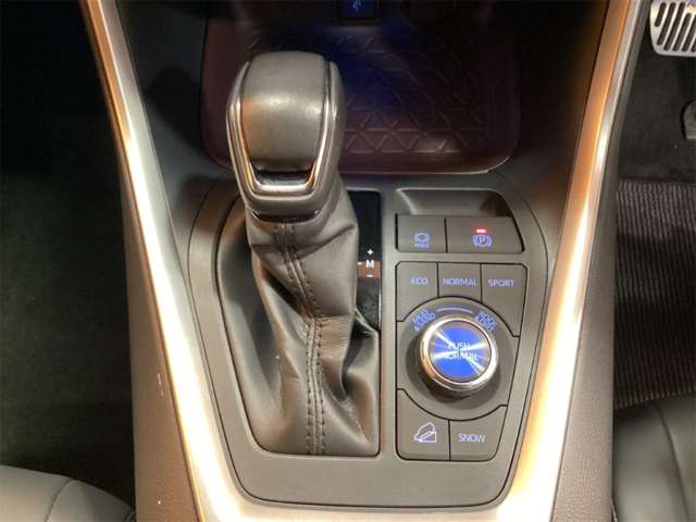 トヨタ ＲＡＶ４ ２．０ Ｇ Ｚパッケージ ４ＷＤ R3年 (近畿) 99